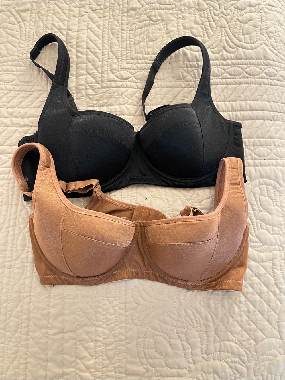 Shecurve push-up shimmer Bra — Black & Nude